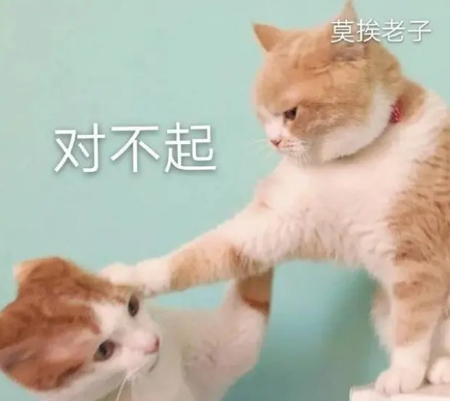 国际接吻日|博乐丹让“舔狗”舔到最后应有尽有! 国际接吻日|博乐丹让“舔狗”舔到最后应有尽有!