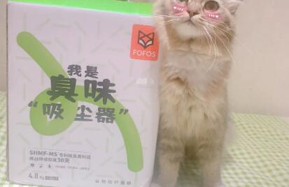 两只福狸猫砂怎么样 两只福狸猫砂怎么样