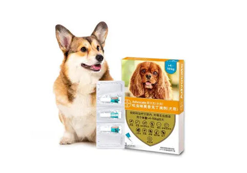 狗狗驱虫多久一次?爱沃克每月一次高效驱杀呵护爱宠健康 狗狗驱虫多久一次?爱沃克每月一次高效驱杀呵护爱宠健康