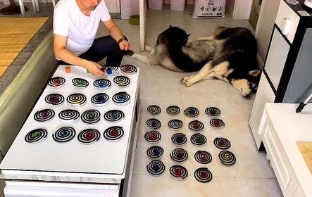 狗狗能闻蚊香的味道吗有毒吗 狗狗能闻蚊香的味道吗有毒吗
