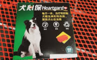 小狗拉稀怎么治疗 给大家种草犬心保! 小狗拉稀怎么治疗 给大家种草犬心保!