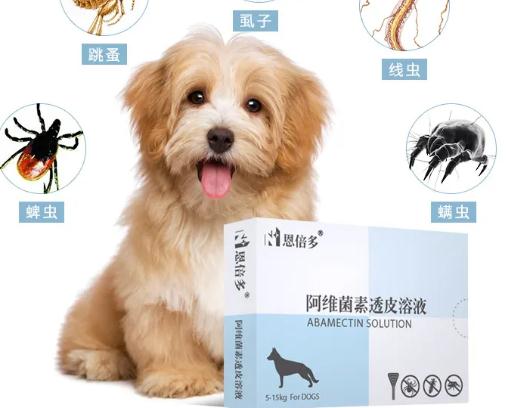 狗狗用体外驱虫药过敏怎么办呢 狗狗用体外驱虫药过敏怎么办呢