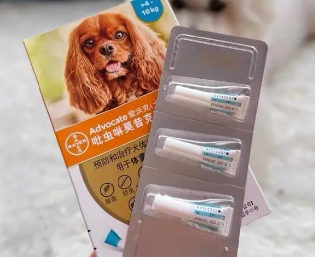 狗狗驱虫药用爱沃克,快速驱杀跳蚤蜱虫摆脱驱虫烦恼 狗狗驱虫药用爱沃克,快速驱杀跳蚤蜱虫摆脱驱虫烦恼