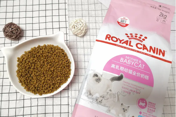 爵加猫粮和皇家哪个好