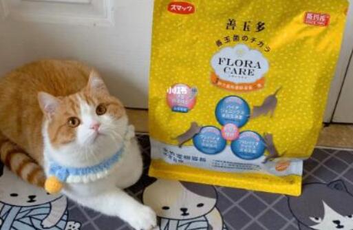 斯玛库猫粮会发胖吗 斯玛库猫粮会发胖吗
