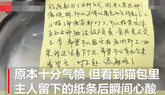 肿瘤晚期主人给猫咖留纸条托付爱猫 自己得了绝症却给猫找了生路实在令人感动