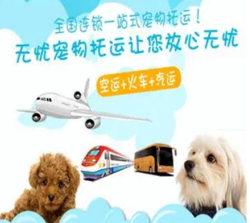 宠速达宠物托运怎么收费 宠速达宠物托运怎么收费