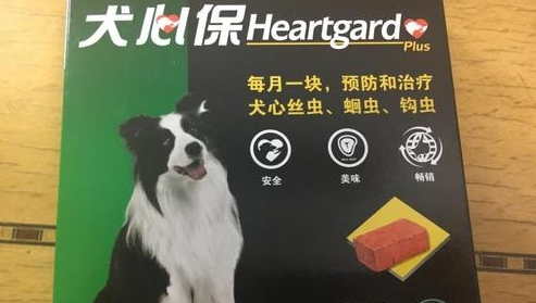 小狗拉稀怎么治疗?推荐使用犬心保! 小狗拉稀怎么治疗?推荐使用犬心保!