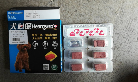 犬心保：用好驱虫药，保护狗狗健康