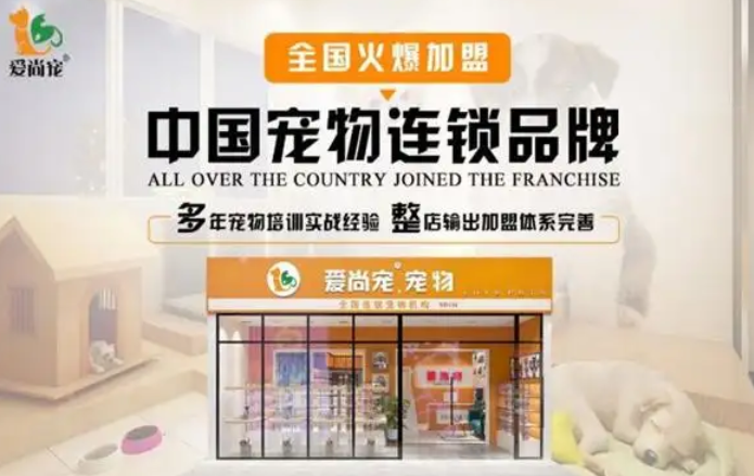 爱尚宠是哪里的