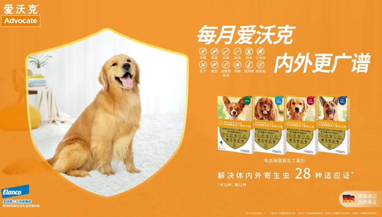 狗狗驱虫多久一次?爱沃克每月一次高效驱杀呵护爱宠健康 狗狗驱虫多久一次?爱沃克每月一次高效驱杀呵护爱宠健康