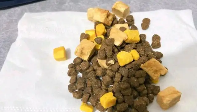 慕安士冻干狗粮好吗