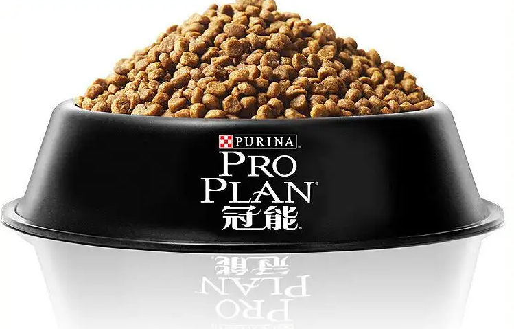 大玛仕猫粮与冠能猫粮哪个好