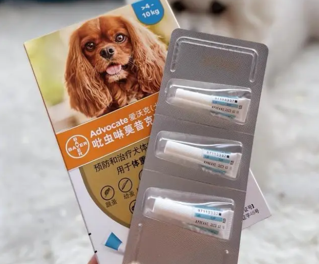 狗狗驱虫药就用爱沃克,体内外驱虫放心之选 狗狗驱虫药就用爱沃克,体内外驱虫放心之选