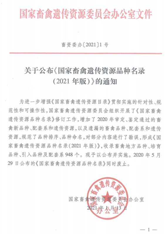 “世界上最小的鸡”走红网络,这种鸡到底是什么“鸡”? “世界上最小的鸡”走红网络,这种鸡到底是什么“鸡”?