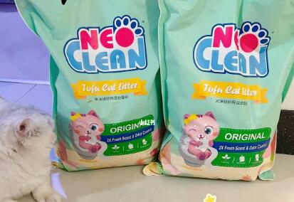 neo天净猫砂怎么样