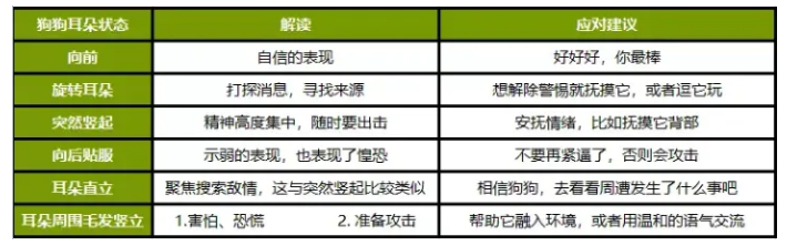 ZEAL真致·几张表格，看懂狗狗的喜怒哀乐！