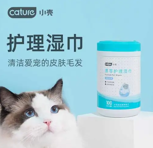 融资丨小壳Cature获千万级美元融资