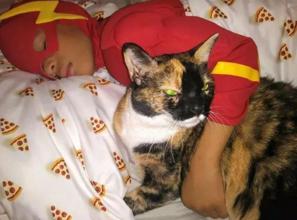 5岁小男孩救助了上百只猫,再凶的猫见到他都会变乖… 5岁小男孩救助了上百只猫,再凶的猫见到他都会变乖…