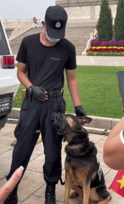 警犬执勤被围观,结果社恐发作抱紧训导员:人好多,要抱抱 警犬执勤被围观,结果社恐发作抱紧训导员:人好多,要抱抱