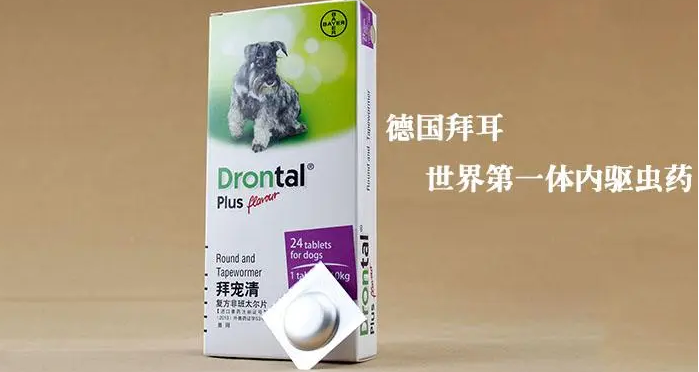 拜宠清剩下半片药怎么保存 拜宠清剩下半片药怎么保存