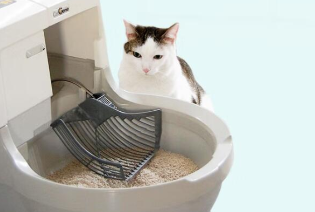 猫洁易二代有新风吗 猫洁易二代有新风吗
