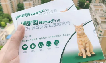 猫怎么驱虫选博来恩