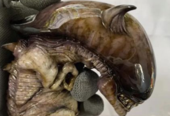 “在河边捡了个奇怪的生物,拿回家当宠物,长大了看门合适吗?” “在河边捡了个奇怪的生物,拿回家当宠物,长大了看门合适吗?”