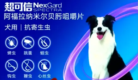 狗狗打虫药什么牌子好?用超可信so easy! 狗狗打虫药什么牌子好?用超可信so easy!