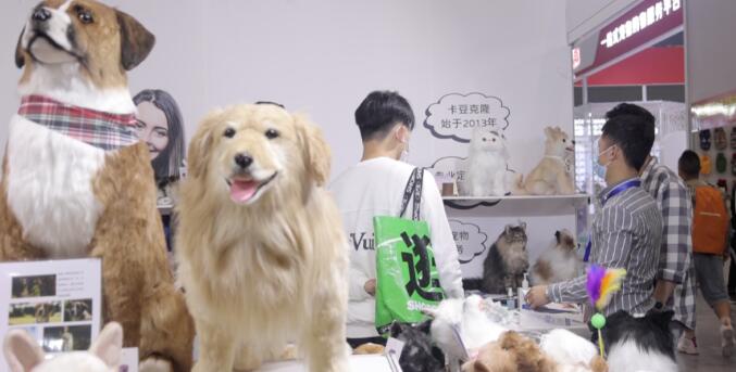 独家亚洲宠物展首次登陆深圳
