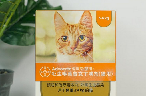 爱沃克驱虫多久一次 爱沃克驱虫多久一次