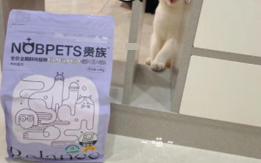 贵族猫粮属于什么档次的 贵族猫粮属于什么档次的