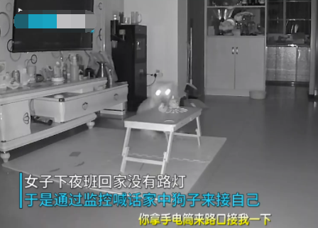 主人下班回家天色已晚，隔空喊话家中狗子接自己