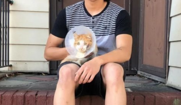从流落街头营养不良的病猫 到人见人爱小可爱 它经历了什么? 从流落街头营养不良的病猫 到人见人爱小可爱 它经历了什么?