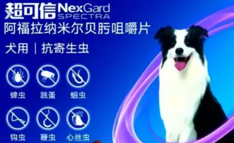 超可信驱虫药驱什么虫 超可信驱虫药驱什么虫