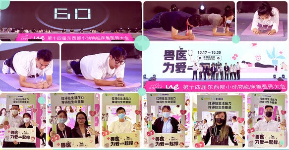 汉维宠仕东西部兽医师系列活动圆满举行