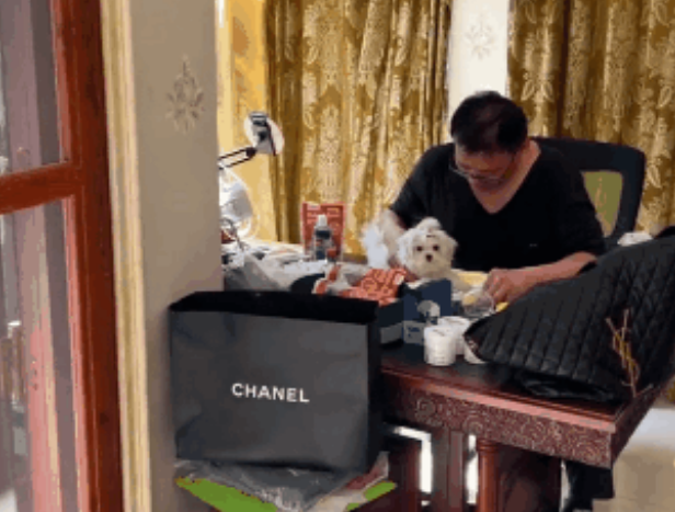 让老妈每天帮忙拍视频“晒”狗，她却理解成…好好的白毛，现在焦黄！