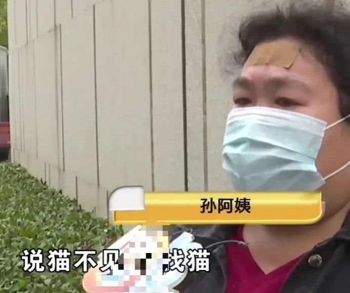 23万的缅因猫坠楼,阿姨该不该负责 23万的缅因猫坠楼,阿姨该不该负责