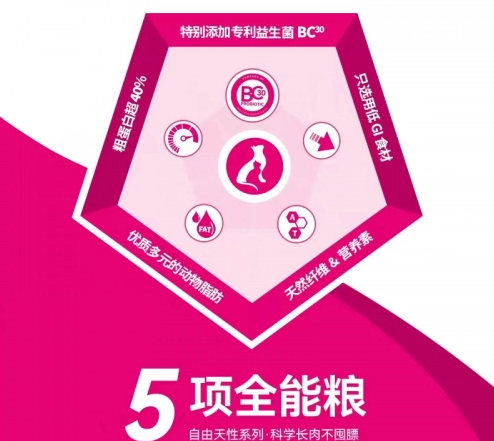 猫咪上火真焦心,nulo助力铲屎官破难题 猫咪上火真焦心,nulo助力铲屎官破难题