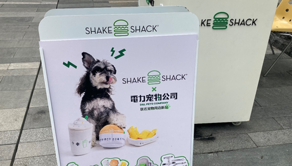 宠物经济有了新变化，讨好消费者先讨好“TA”