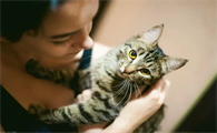 猫咪不让抱不让摸是怎么回事呢