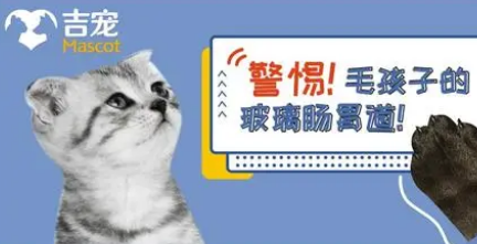PetAg倍酷整肠膏，挑战犬猫玻璃肠胃