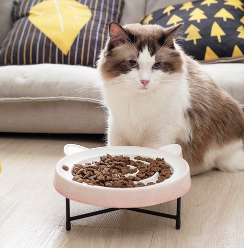 nulo猫粮帮助猫咪塑造健康体魄 nulo猫粮帮助猫咪塑造健康体魄