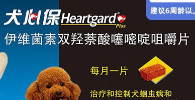 2个月幼犬可以吃犬心保吗