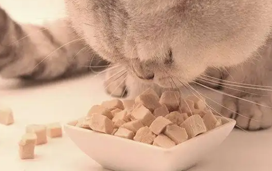 多可特猫零食冻干怎么样