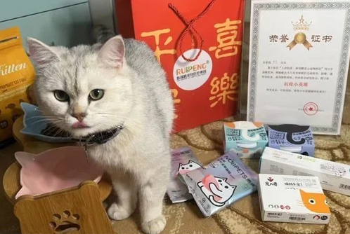 汉维宠仕:致敬兽医“您守护动物,我们守护您” 汉维宠仕:致敬兽医“您守护动物,我们守护您”
