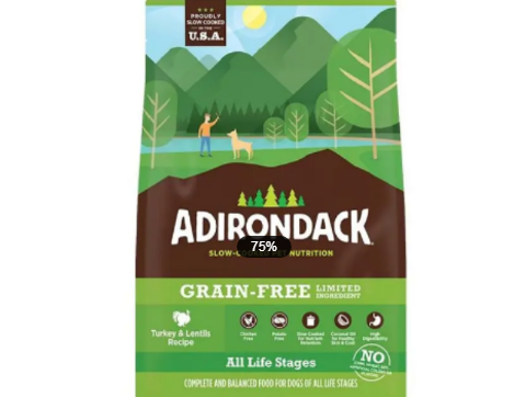 adirondack是什么档次 adirondack是什么档次