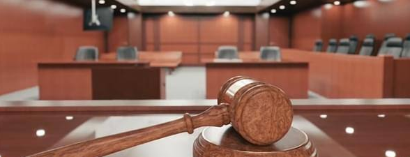 流浪狗咬伤人长期投喂者被判担责 网友争执是否过分：善良有错？