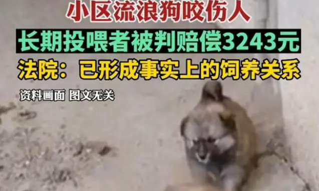 陕西流浪狗咬伤居民,长期投喂者被判赔偿3000元,网友:善没善报 陕西流浪狗咬伤居民,长期投喂者被判赔偿3000元,网友:善没善报