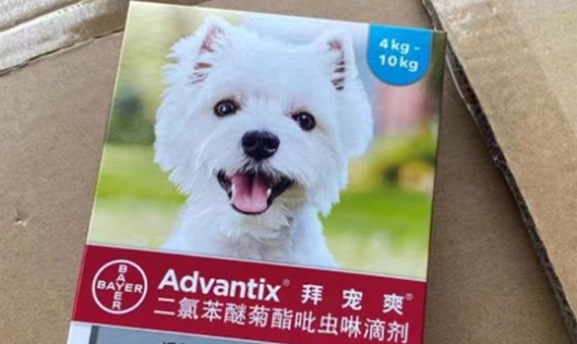 拜宠爽:养狗注意,狗狗体外驱虫别做错了 拜宠爽:养狗注意,狗狗体外驱虫别做错了